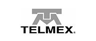 Telmex - Offshore Software Services